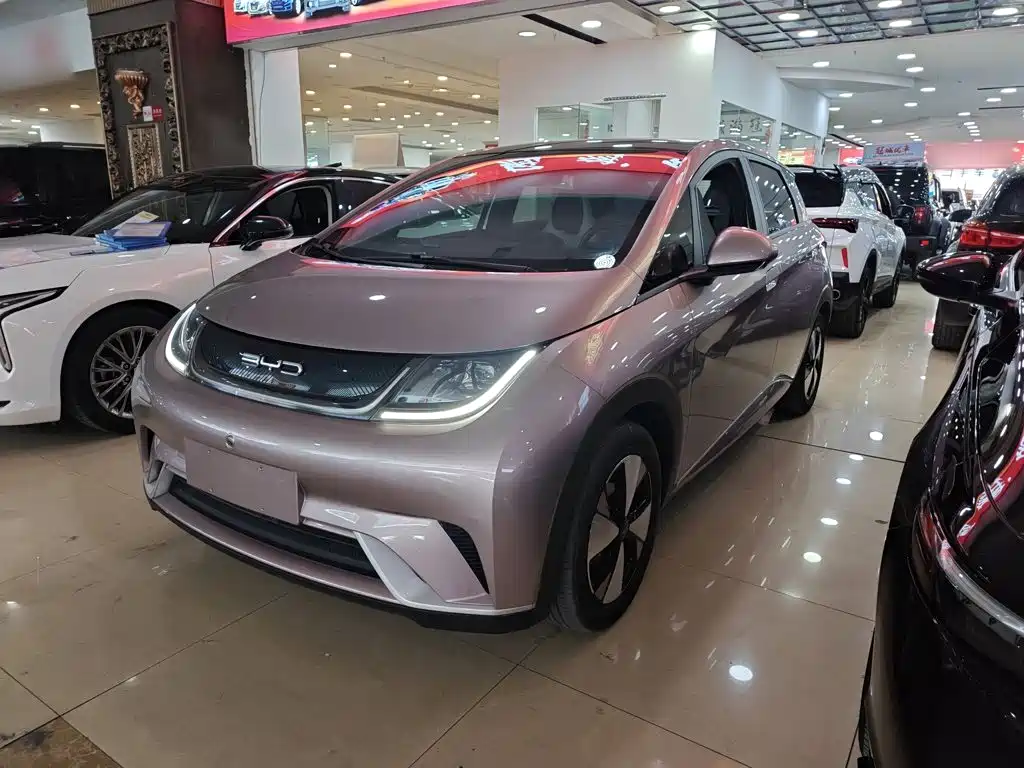BYD Dolphin 2023 420km Fashion Edition