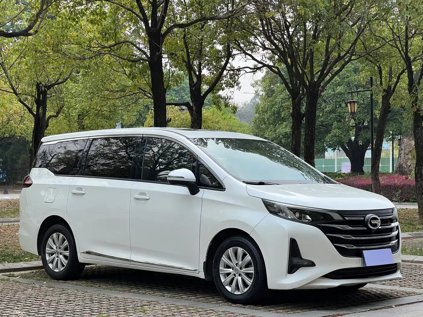 GAC Trumpchi Trumpchi M6 2019 270T Automatic Luxury (7-seater) China V фото 3