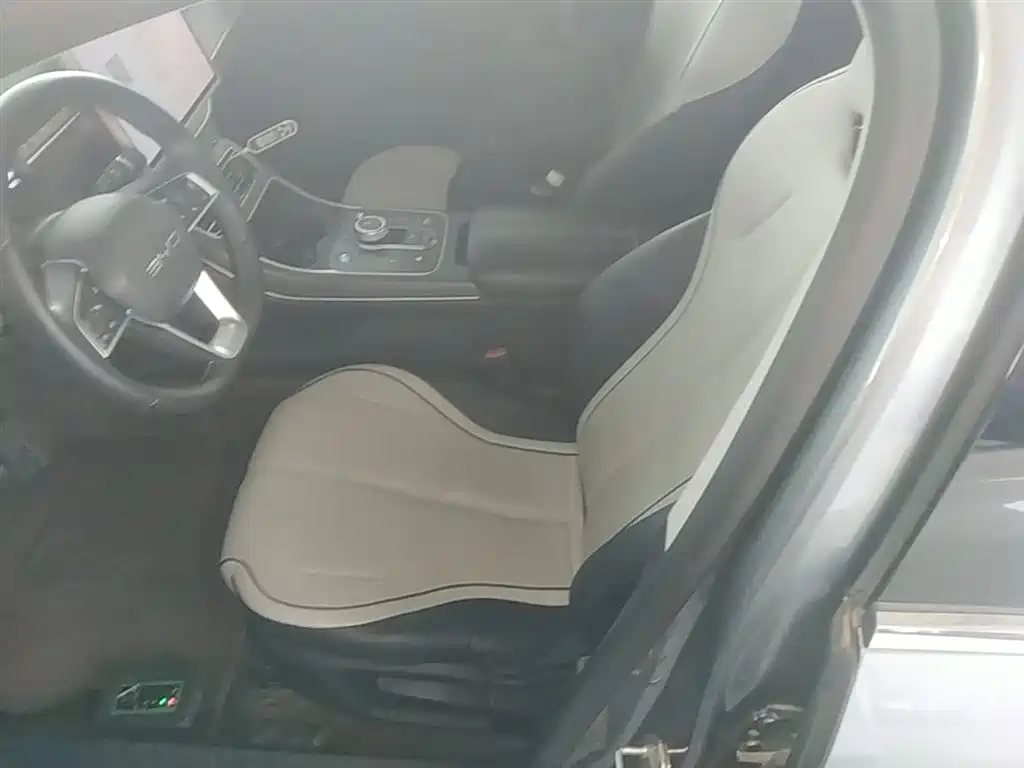 BYD Destroyer 05 2024 Glory Edition DM-i 55KM Luxury фото 15