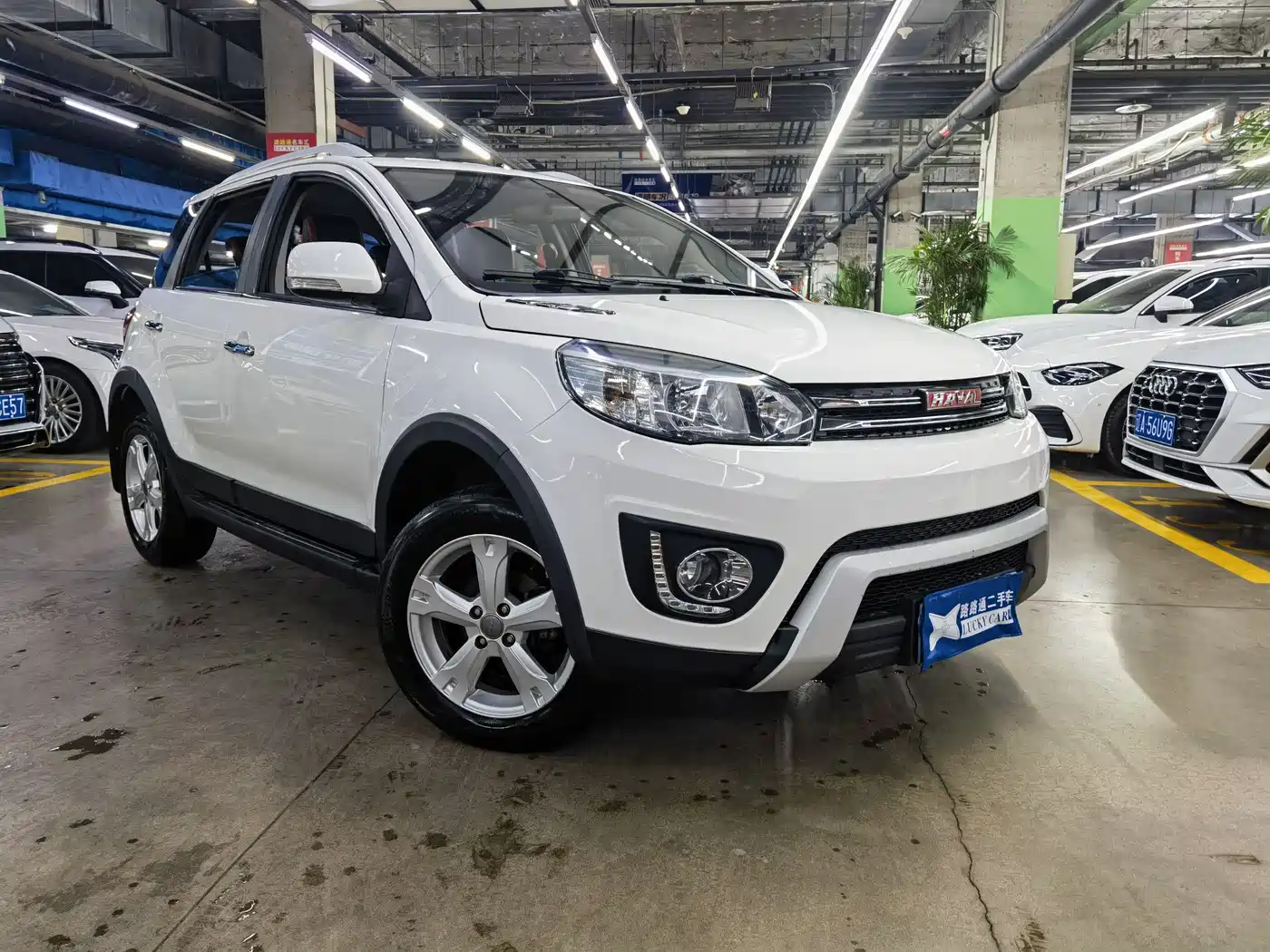 HAVAL H1
