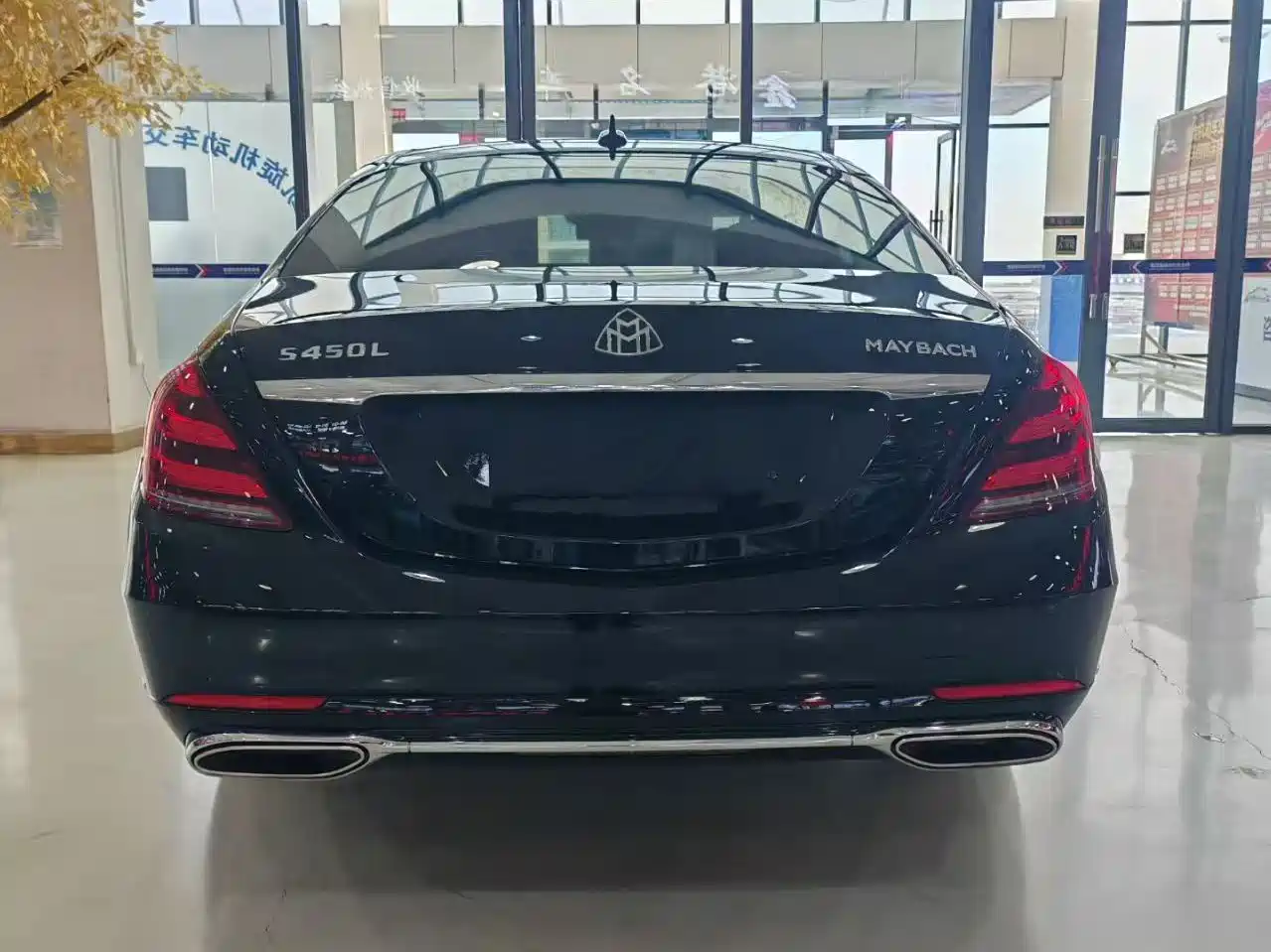 Mercedes-Benz S-Class 2020 S 350 L Business Edition Collector's Version фото 8