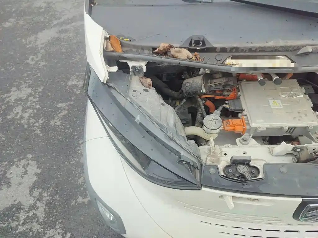 Baojun E100 2021 2020 305KM Intelligent Edition