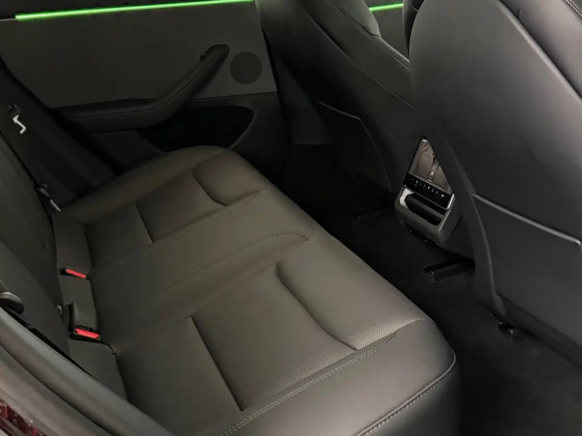 Tesla Model 3 2026 2025 Model Rear-Wheel Drive Edition