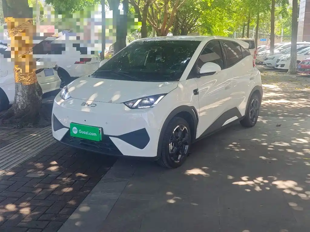 BYD Seagull 2025 Smart Drive Edition 305km Freedom Version