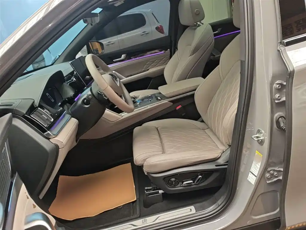 BYD Tang New Energy 2025 Smart Driving Edition DM-i 115KM Flagship фото 15