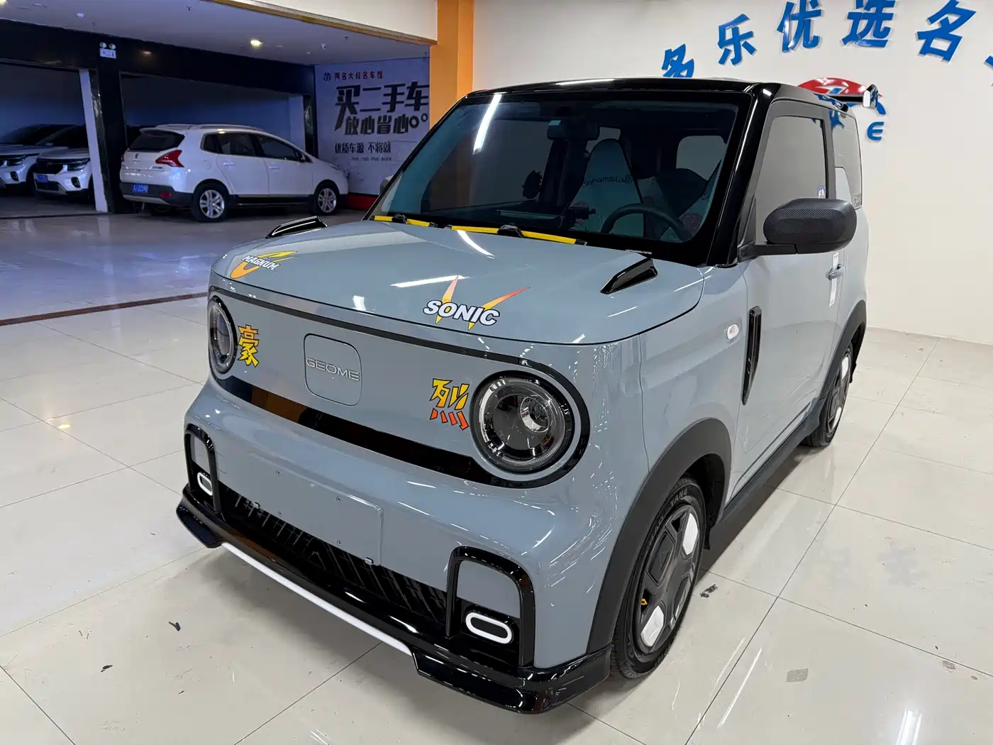 Geely Galaxy Panda 2025 Model Year 210km Panda Kart