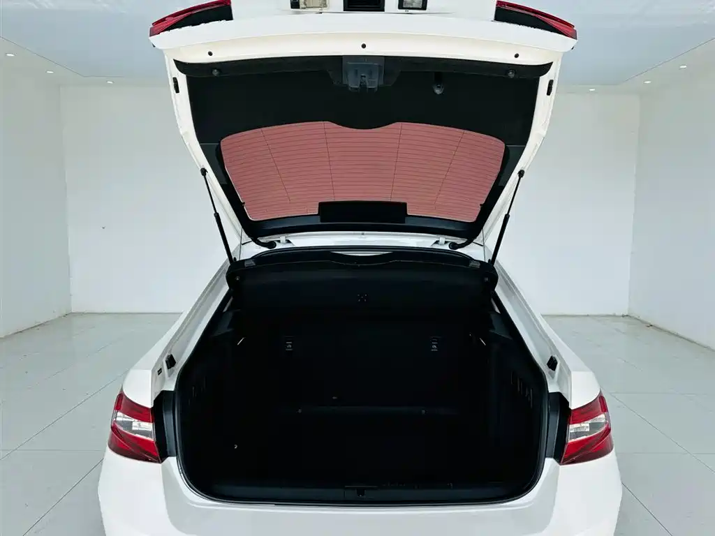Škoda Superb 2016 TSI330 DSG Pioneer Edition фото 24