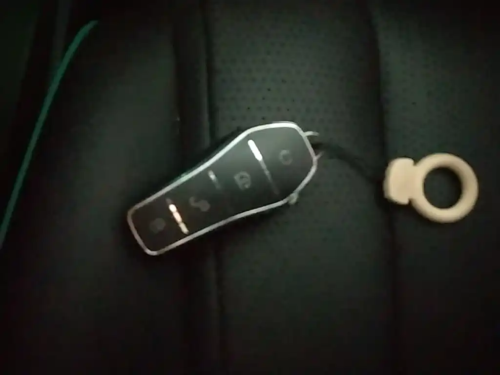 BYD Dolphin 2025 Smart Drive Edition 410km Fashion Version фото 9