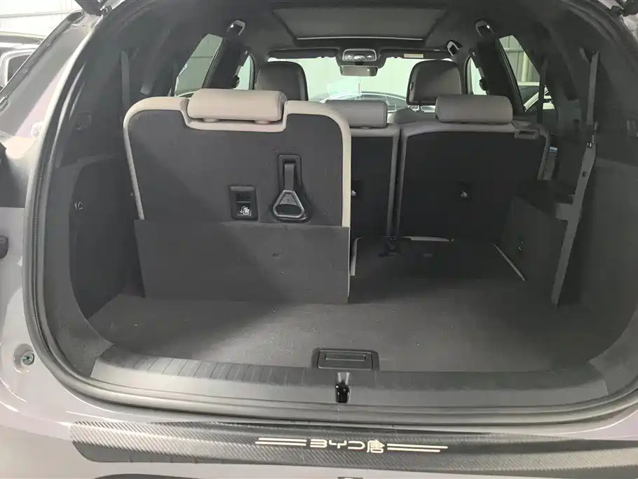 BYD Tang New Energy 2025 DM-i 115KM Flagship фото 4