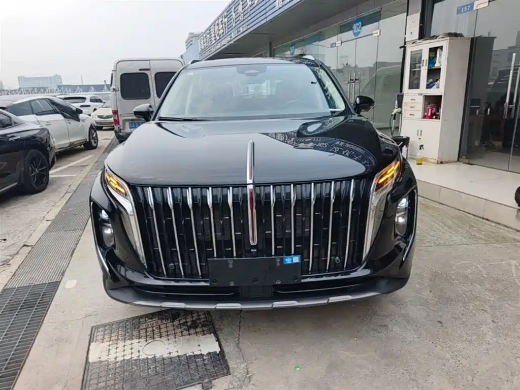 Hongqi HS7 PHEV 2025 2.0T PHEV 4WD 6-Seater Commemorative Edition фото 3
