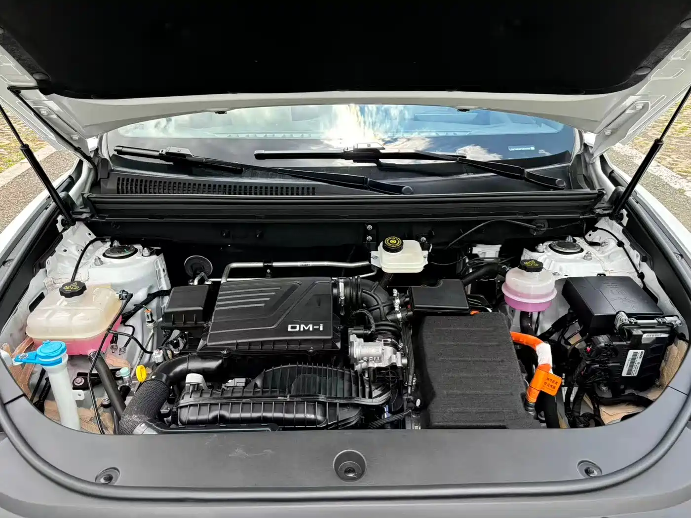 BYD Song Pro New Energy 2023 Champion Edition DM-i 110KM Excellence фото 26