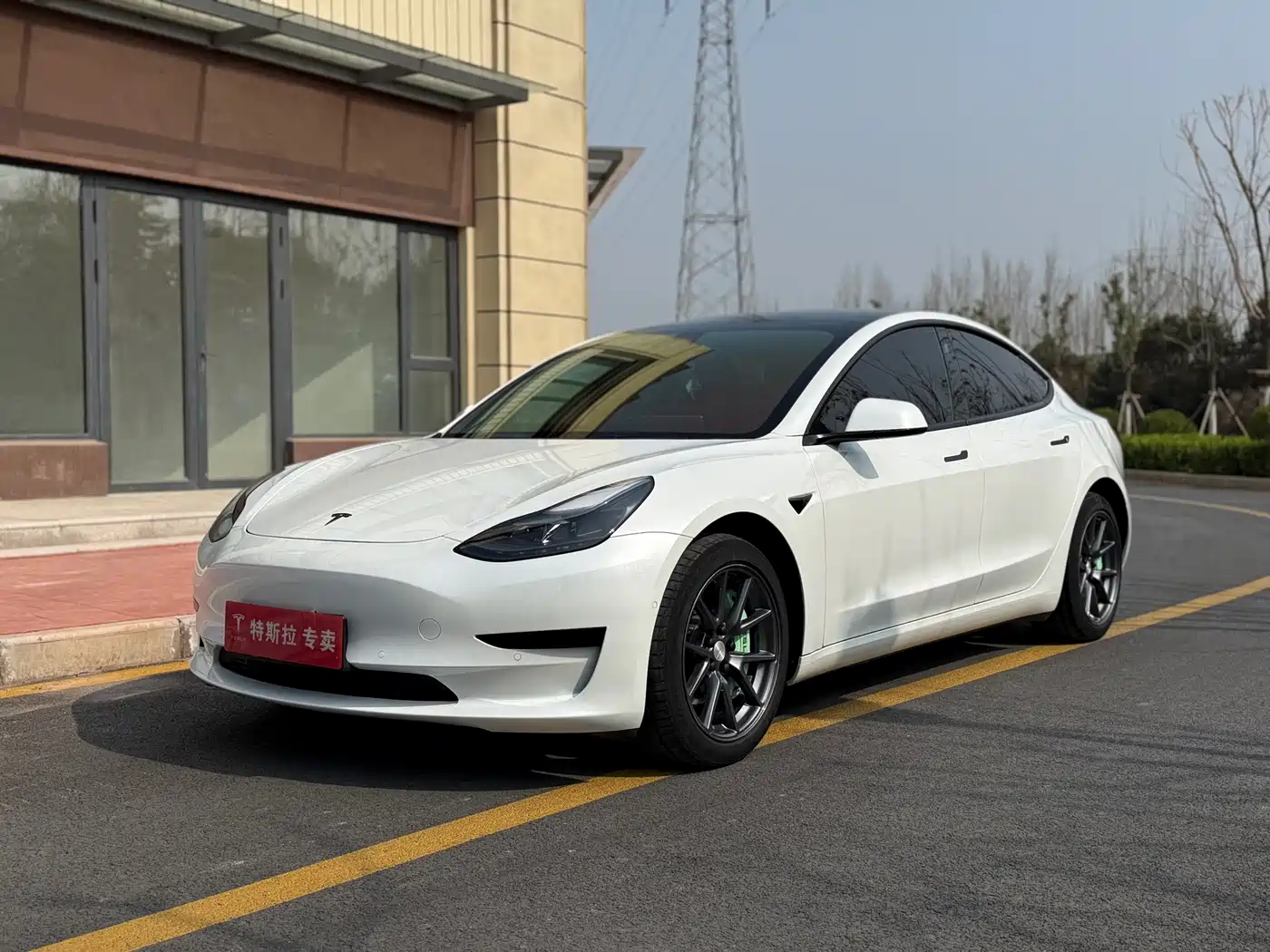 TESLA MODEL 3