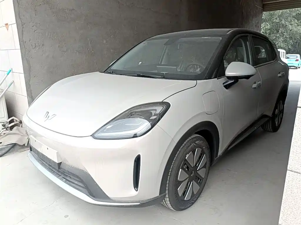 Wuling Motors Wuling Bingo S 2025 Model 325km Premium Edition