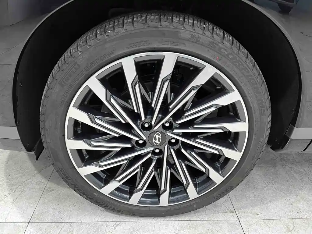 Hyundai Santa Fe 2024 2024 2.0T Connoisseur Ultra