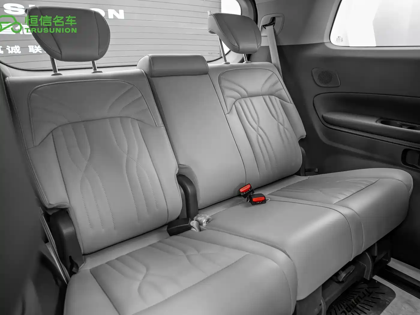 GAC Trumpchi Trumpchi E9 2024 E9 Premium Edition фото 15