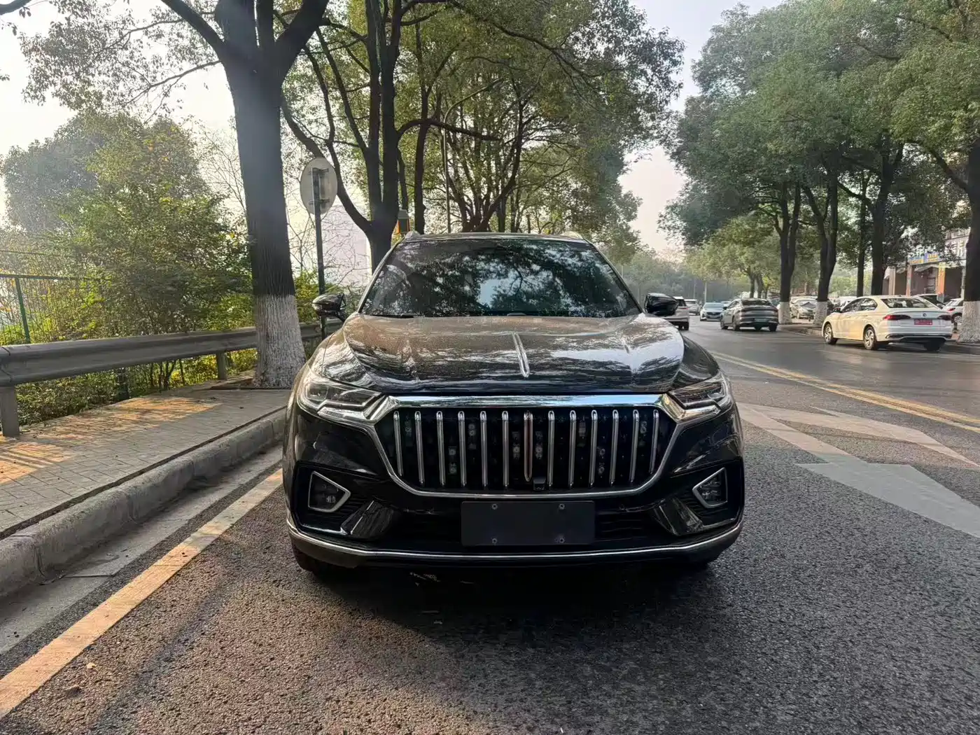 Hongqi HONGQI HS5