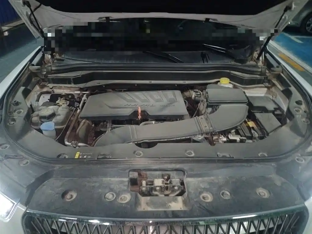 Haval H6 2020 1.5GDIT Automatic Platinum Champion Edition фото 11