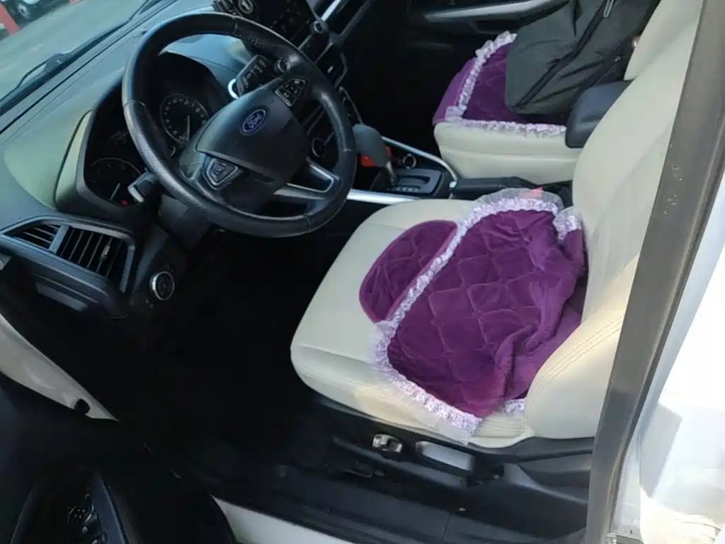 Photo 15 - Ford EcoSport