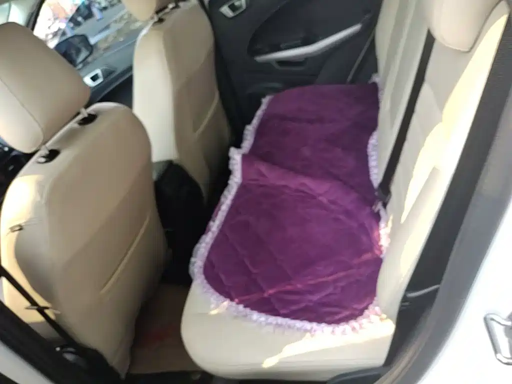 Photo 17 - Ford EcoSport
