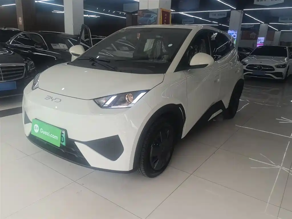 BYD Seagull 2025 305km Vitality