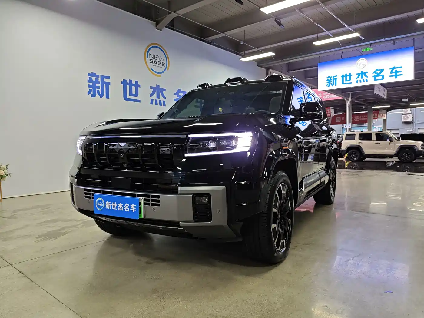 Fang Cheng Bao Leopard 8 2025 2025 Zhiyong Flagship 7-Seater