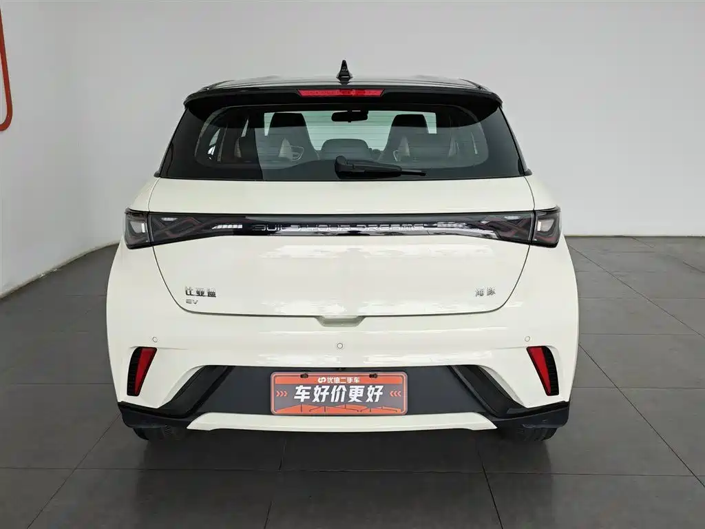 BYD Dolphin 2025 420km Freedom Edition фото 4