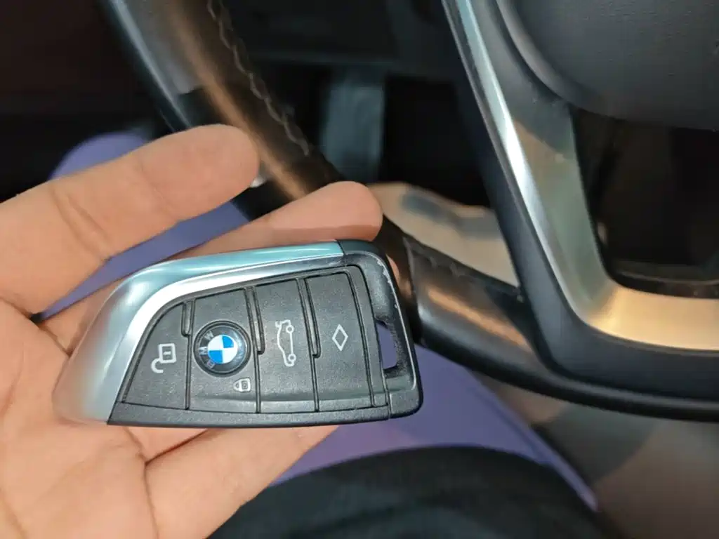 BMW X3 2018 2018 xDrive28i Luxury Package China VI