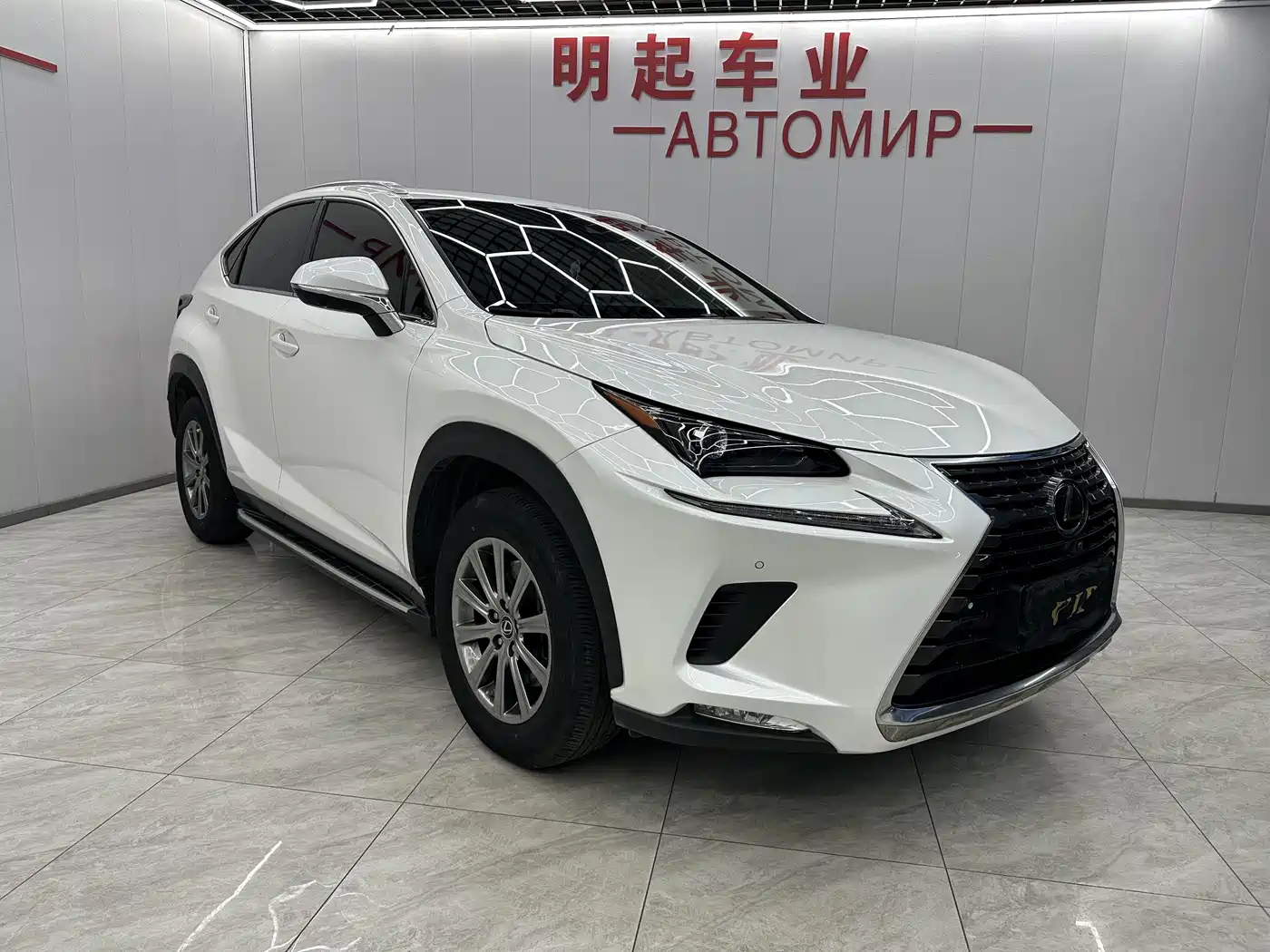 LEXUS NX