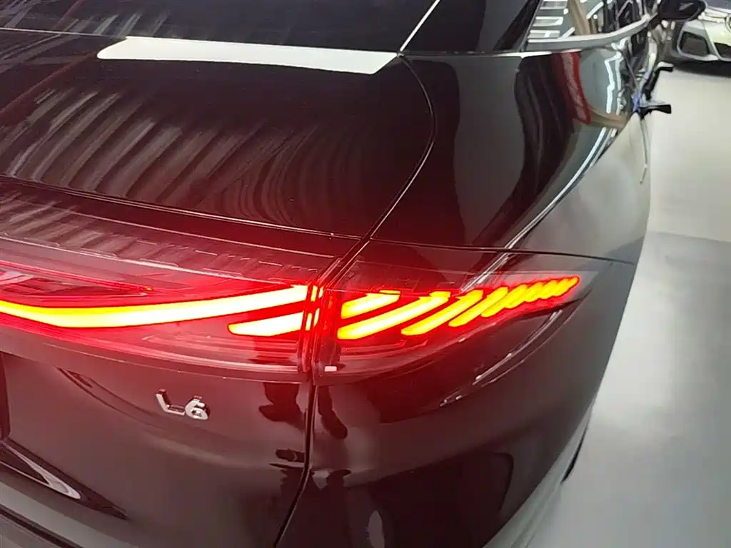 Geely Galaxy Galaxy L6 2024 125km PLUS Soaring Dragon Edition фото 8