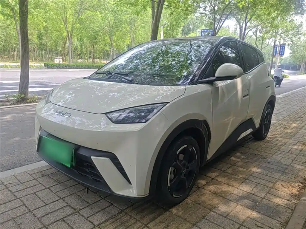 BYD Seagull 2024 Glory Edition 305km Freedom Edition фото 2