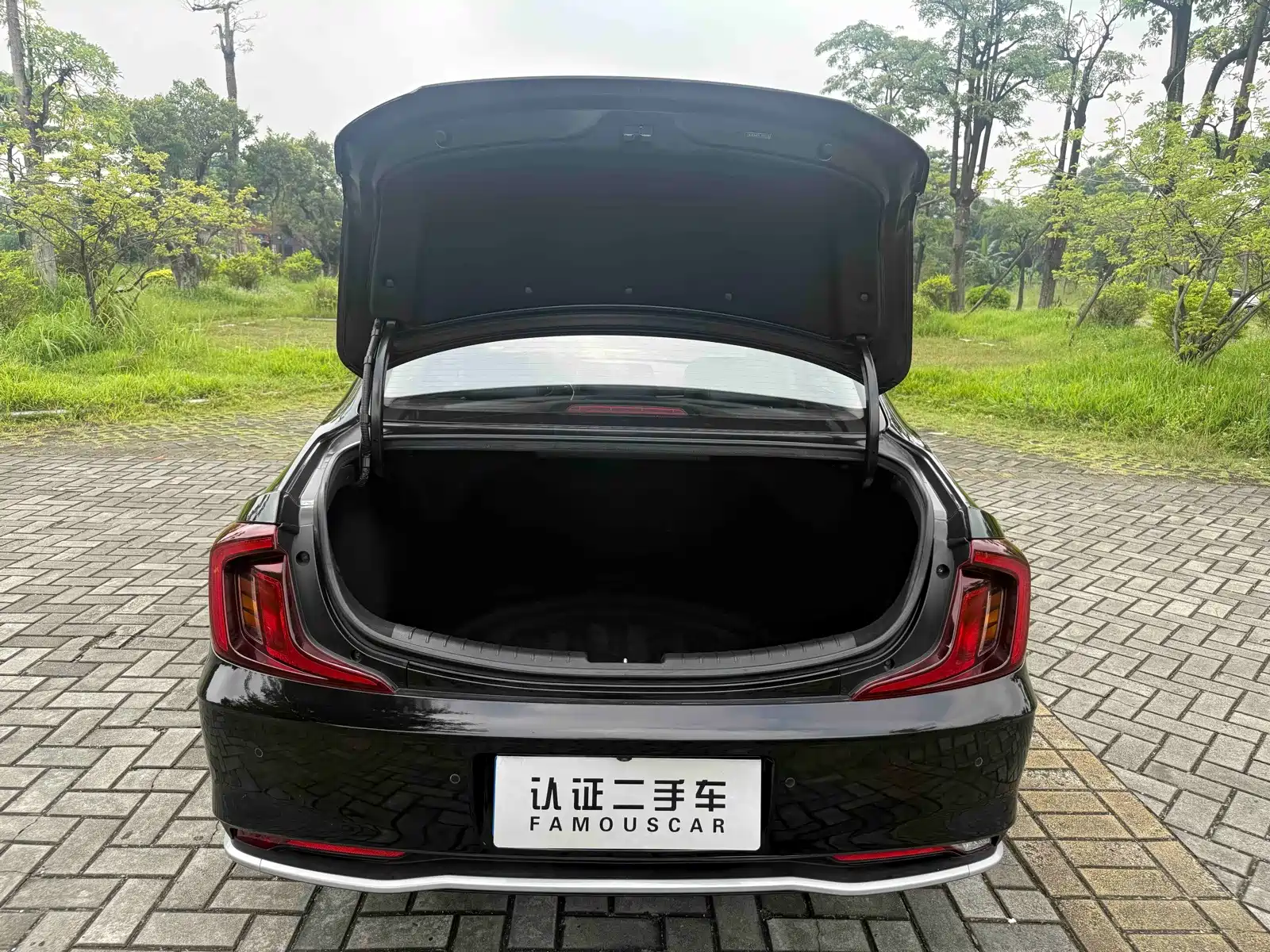 Photo 17 - Hyundai Mistra