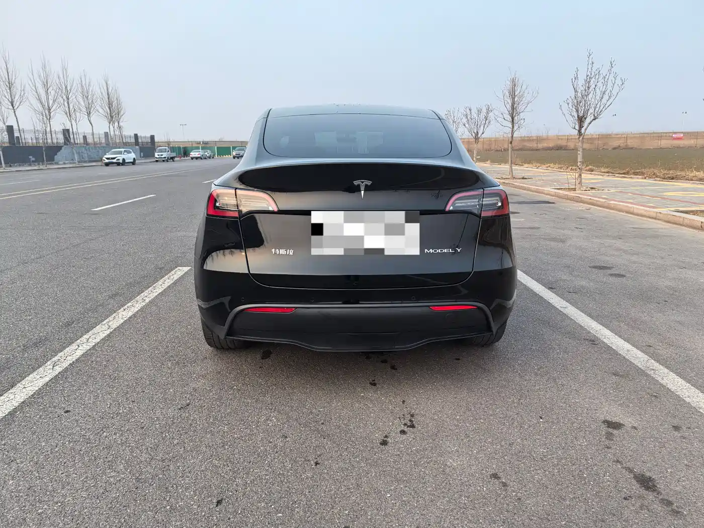 TESLA MODEL Y