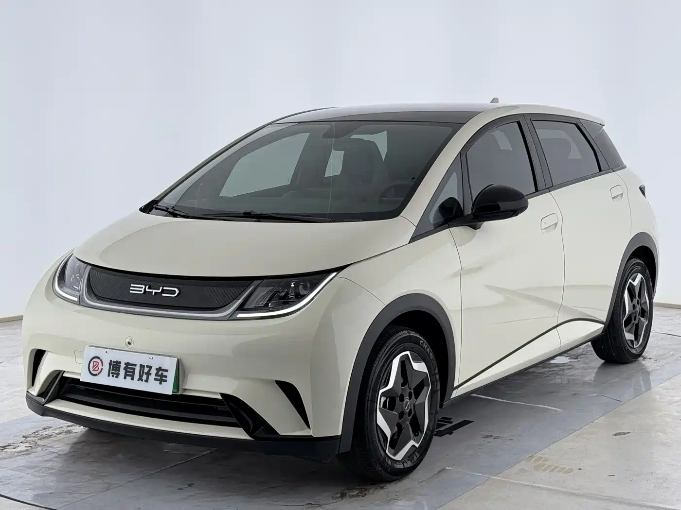 BYD Dolphin 2021 Model 405km Fashion Edition