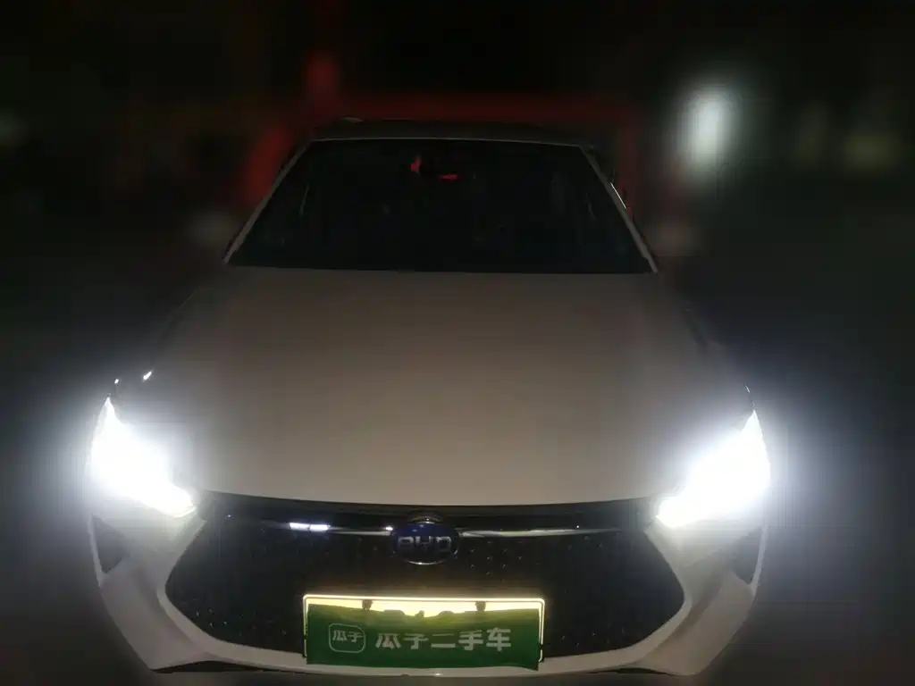 BYD e2 2020 2020 Upgraded Long Range Luxury