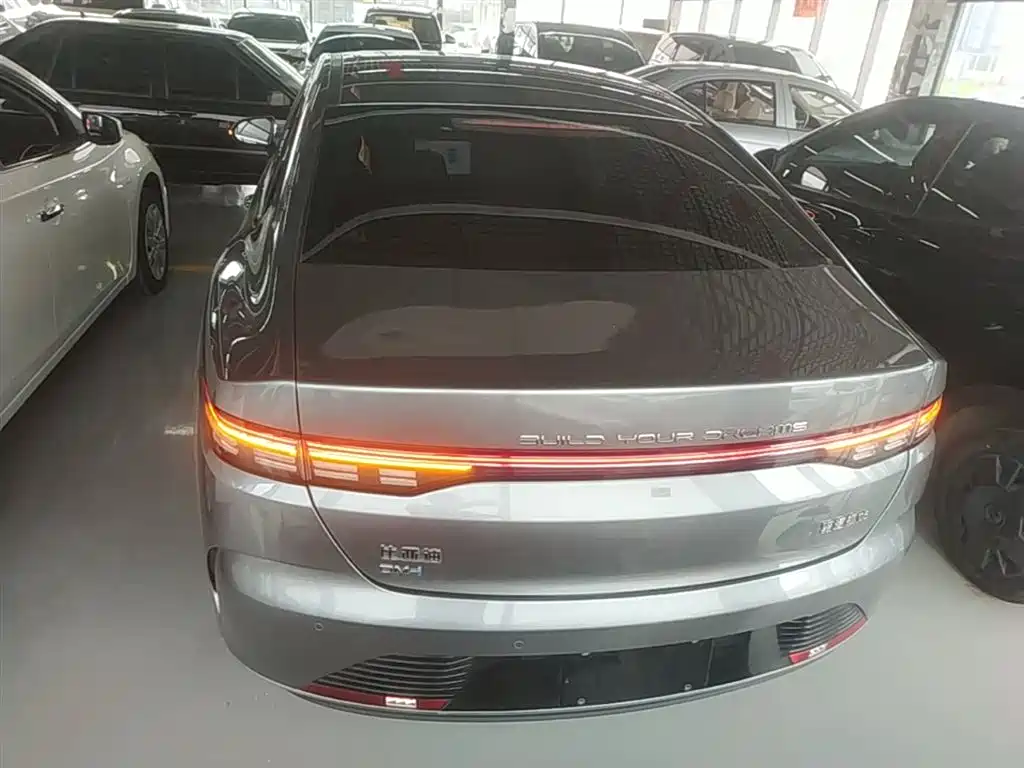 BYD Destroyer 05 2024 Glory Edition DM-i 55KM Luxury фото 6