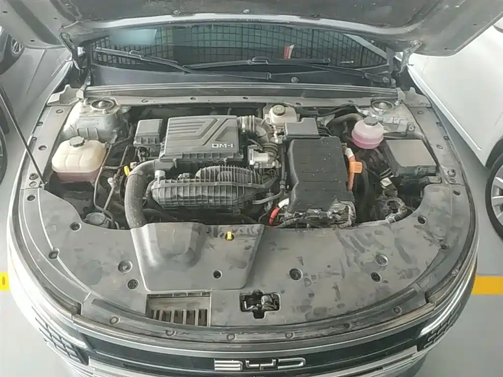 BYD Destroyer 05 2024 Glory Edition DM-i 55KM Luxury фото 20