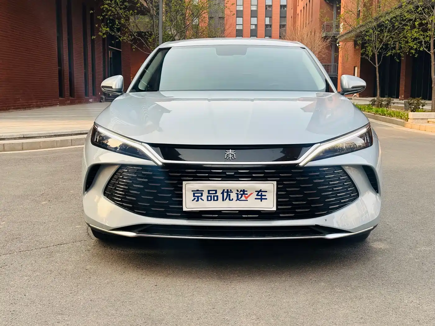 BYD QIN L