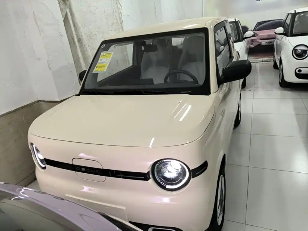 Geely Galaxy Panda 2026 2025 Panda mini 210km Vitality Bear
