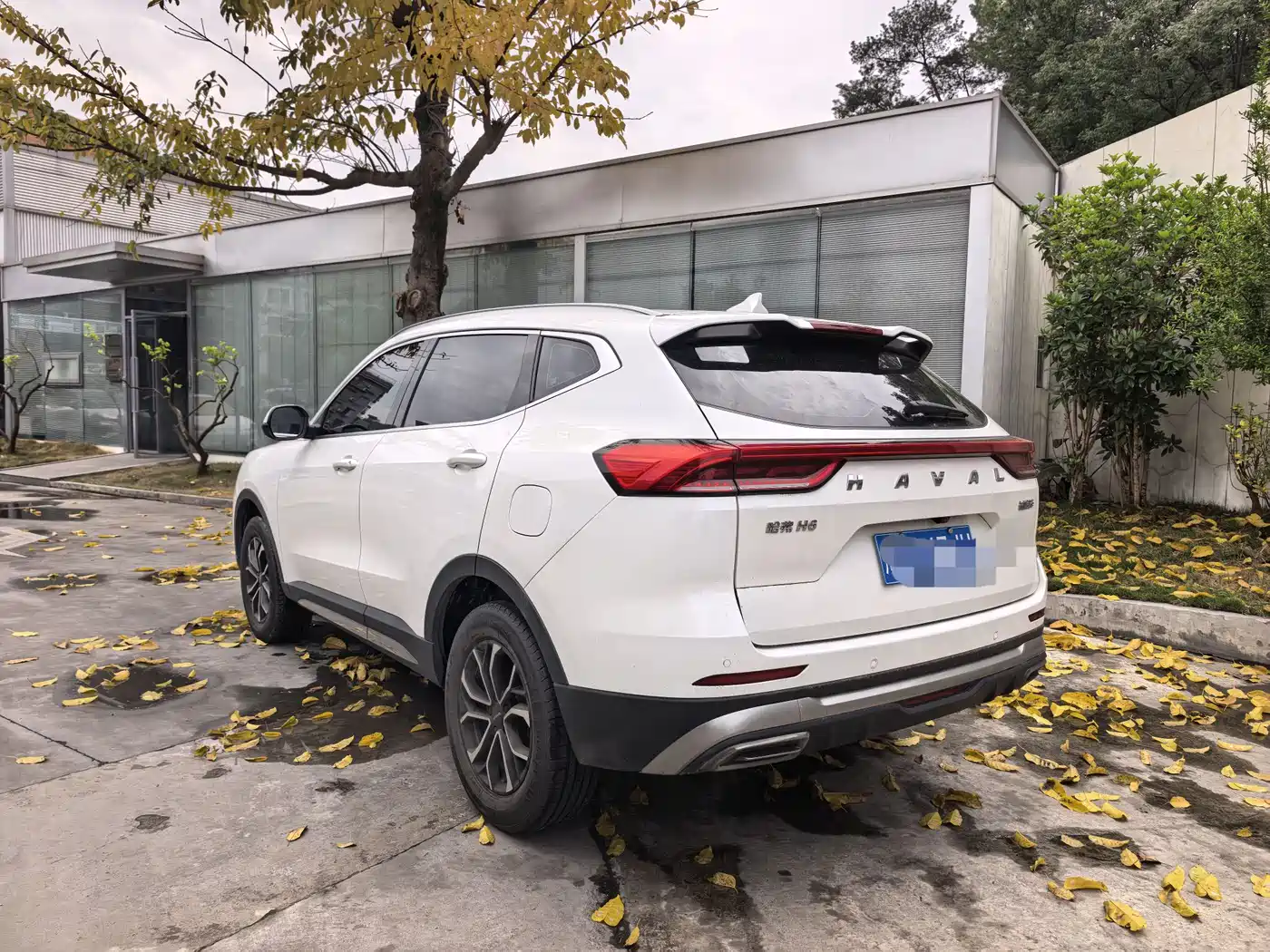 HAVAL H6
