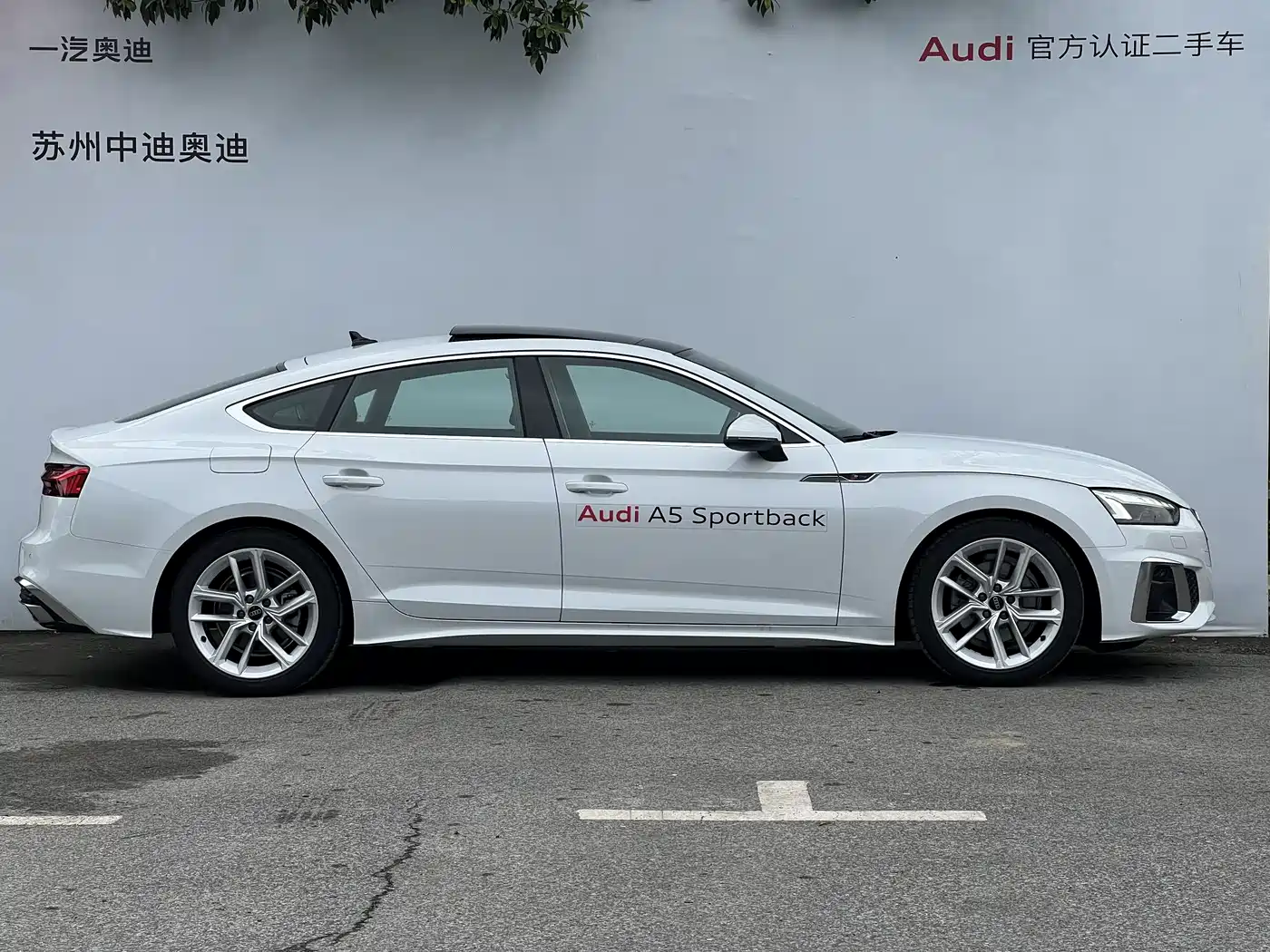 Audi A5 (Import) 2024 Sportback 40 TFSI Fashion Dynamic фото 3