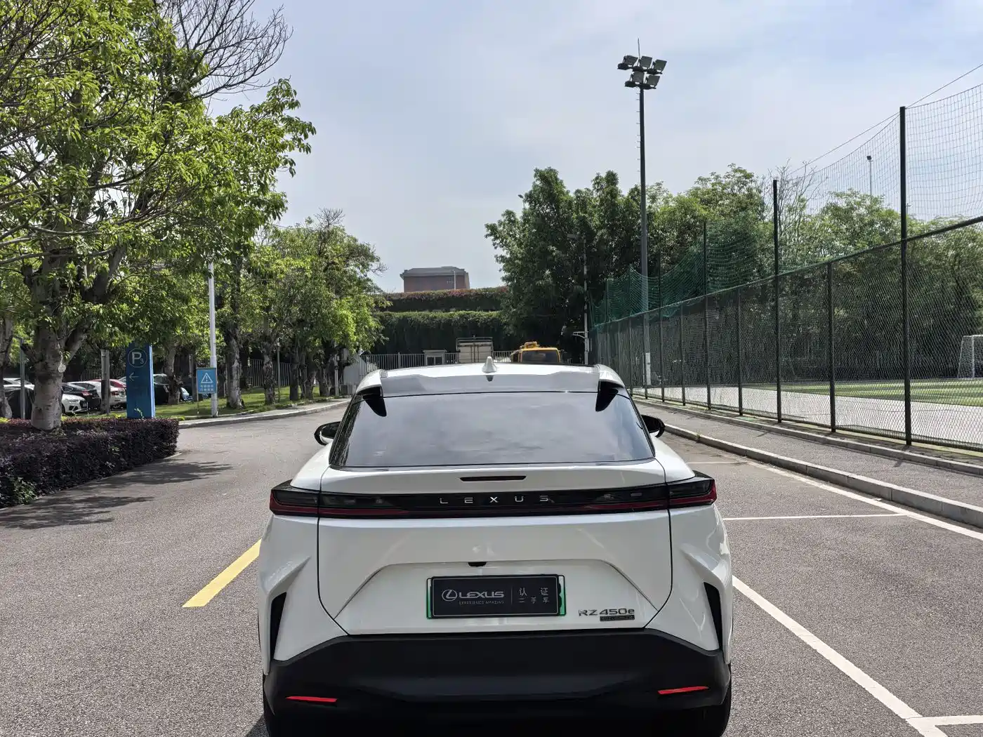Lexus RZ 2023 450e 4WD Deluxe фото 5