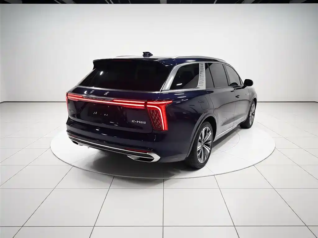 Hongqi E-HS9 2021 510km Flagship Comfort 6-seater фото 7