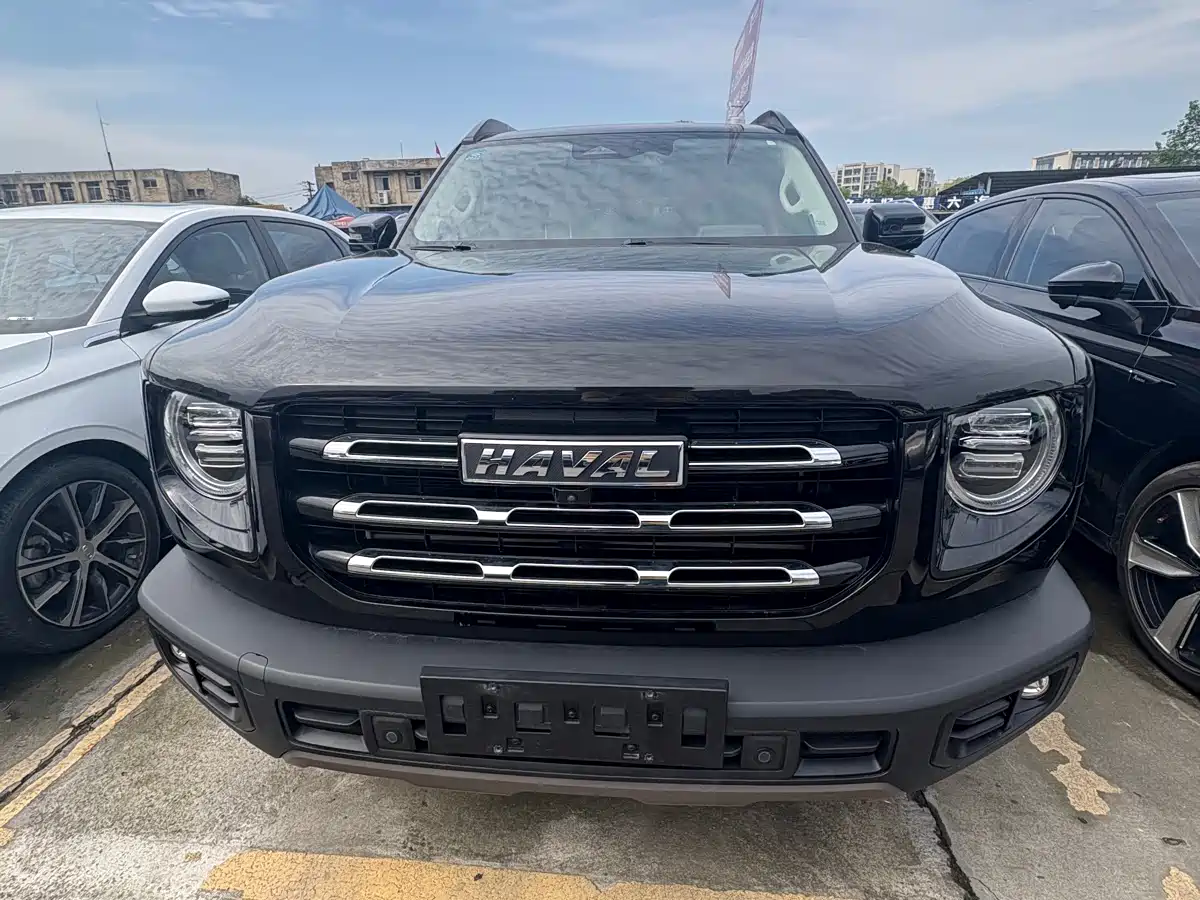 HAVAL BIG DOG