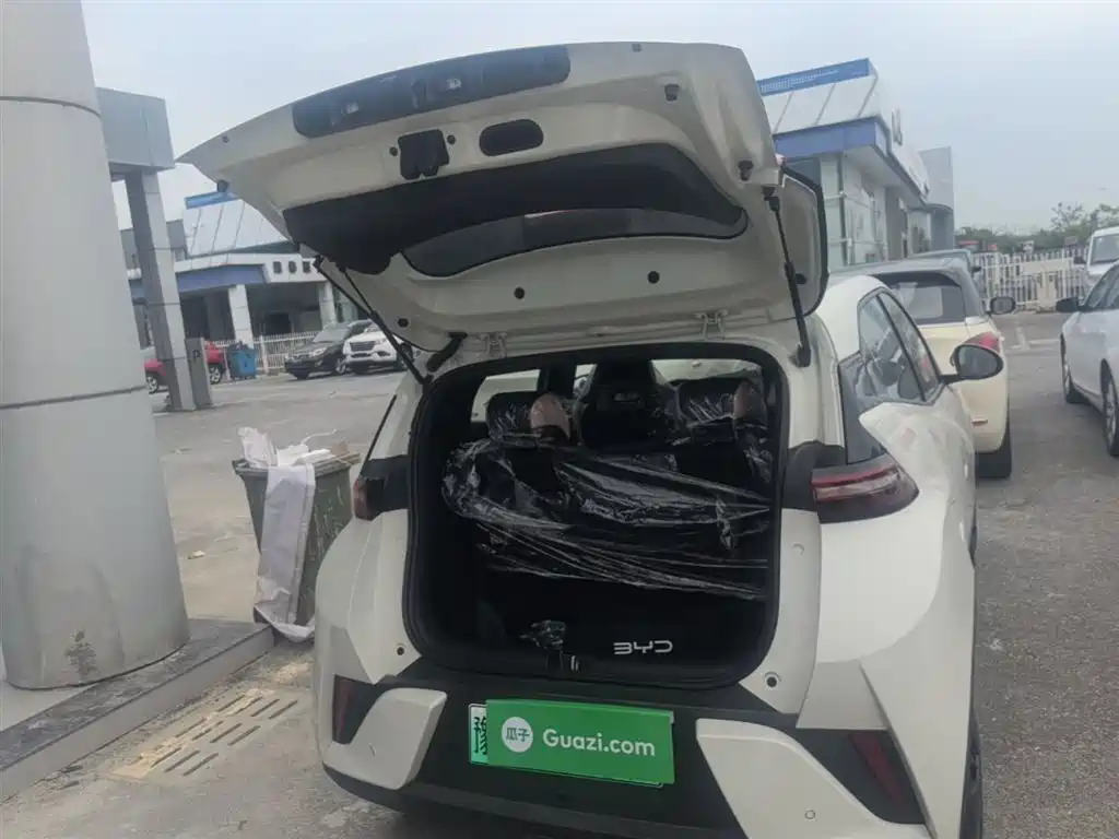 BYD Seagull 2025 Smart Drive Edition 305km Vitality Version фото 19