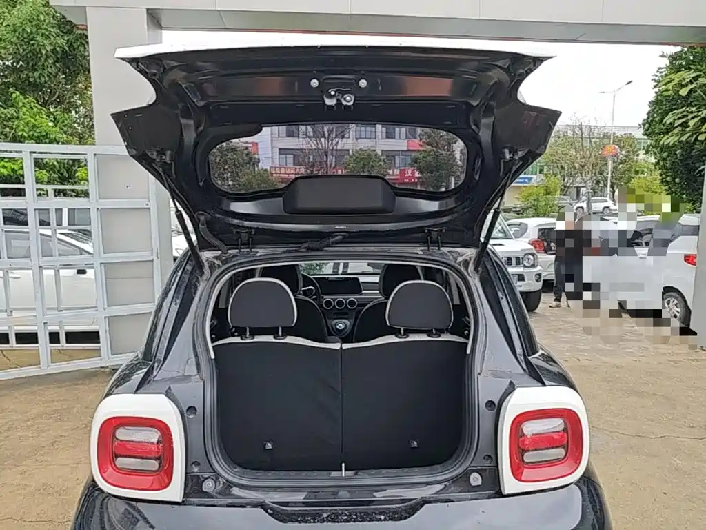 Ora Black Cat 2022 2021 351km Luxury Model