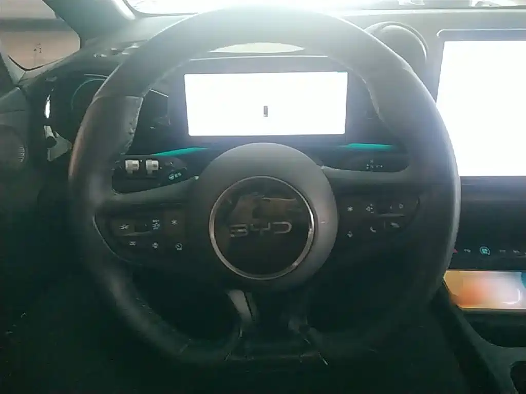 BYD Dolphin 2025 Smart Drive Edition 410km Fashion Version фото 11