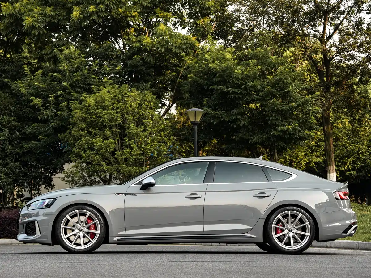 Audi RS 5 2020 2019 RS 5 2.9T Sportback