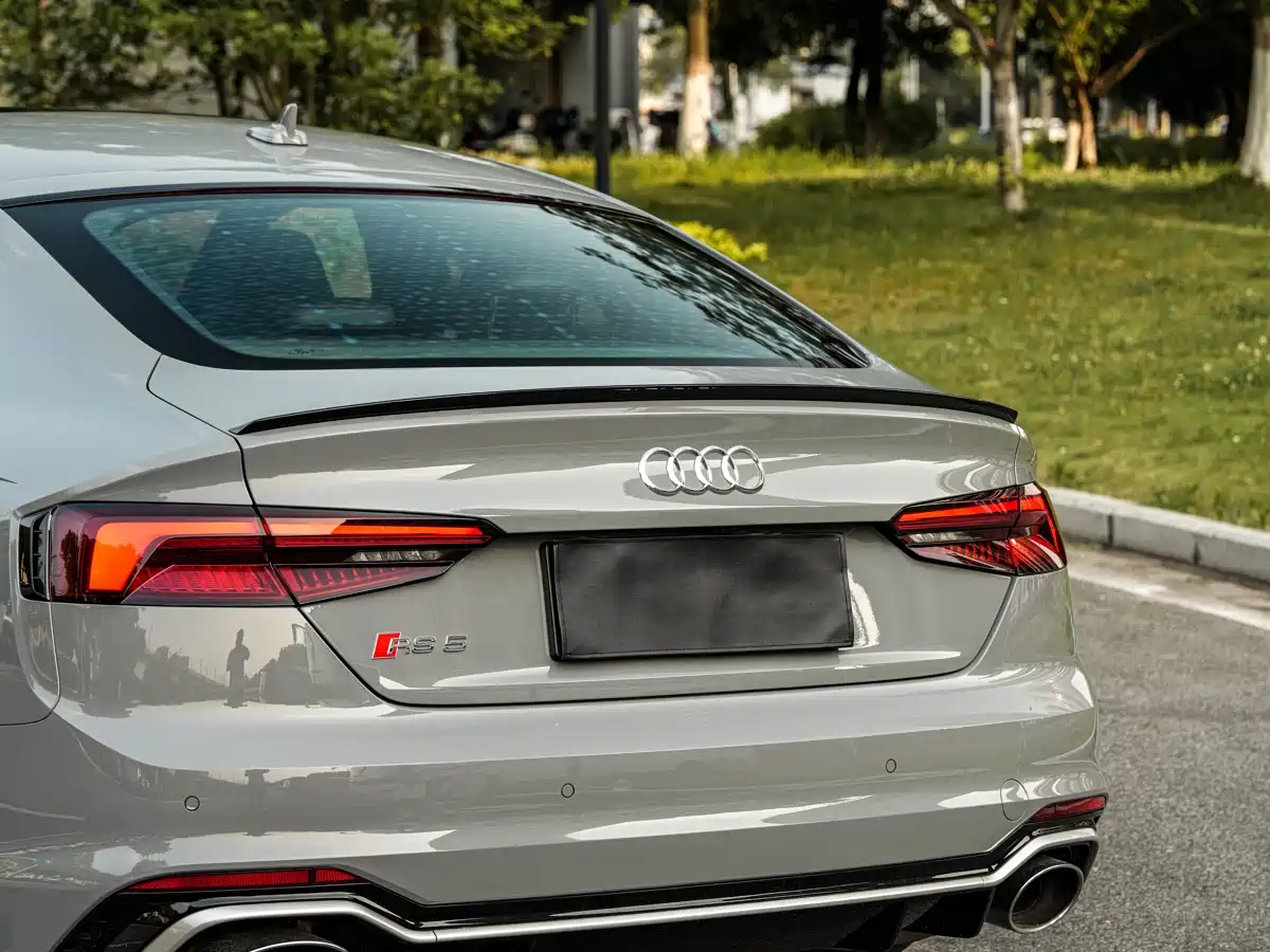Audi RS 5 2020 2019 RS 5 2.9T Sportback