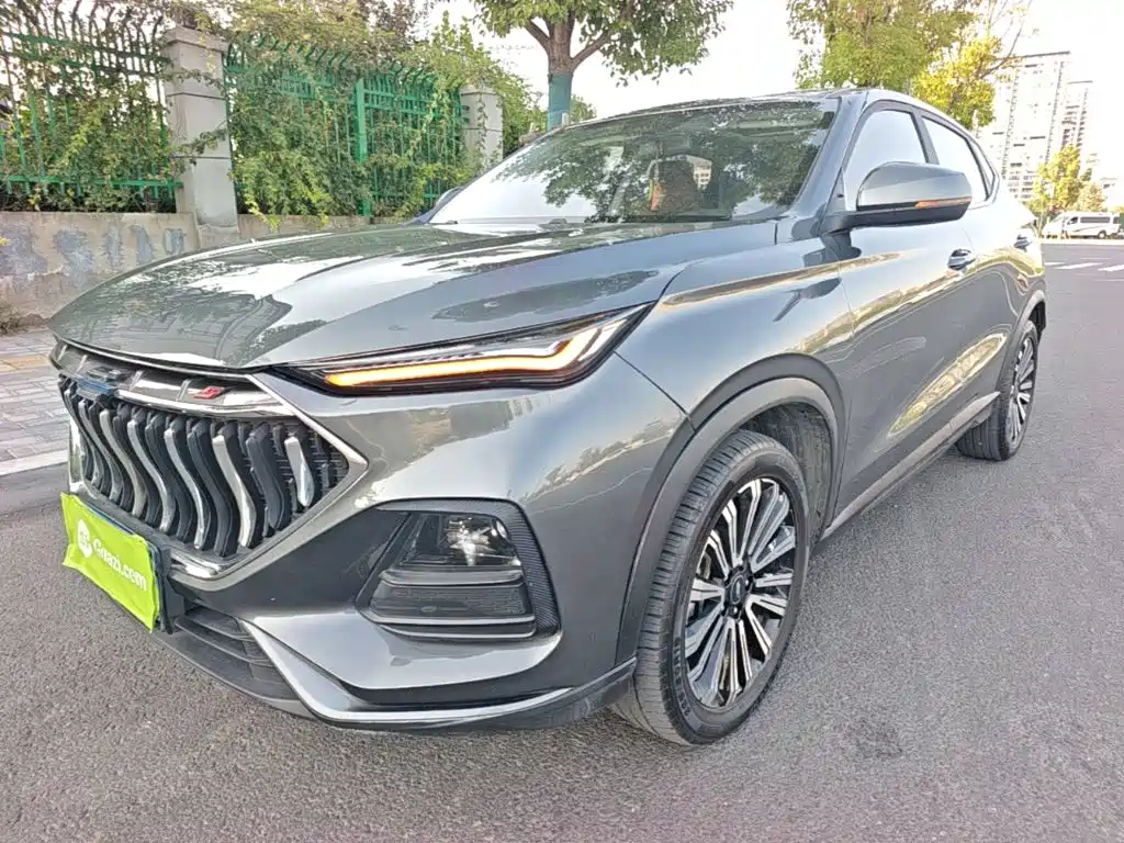 Changan Oshan Changan Oushang X5 2021 1.5T DCT Premium