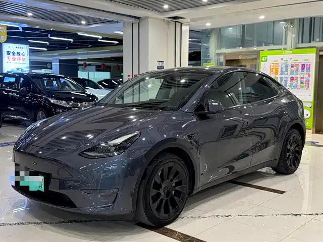 Tesla Model Y 2021